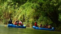 Nature Wildlife Safari Float Tour from La Fortuna-Arenal