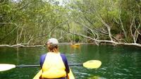 Sydney Middle Harbour Kayaking Tour from the Spit