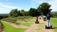 Coolangatta Vineyard Segway Tour