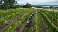Coolangatta Vineyard Segway Tour image 1 Coolangatta Vineyard Segway Tour image 1