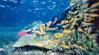 Private Half-Day Snorkeling Charter in Nassau