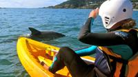 Byron Bay Combo: Hinterland Tour Including Minyon Falls and Kayaking with Dolphins