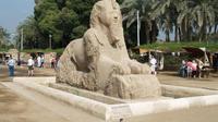 Private Half-Day Tour to Sakkara and Memphis from Cairo