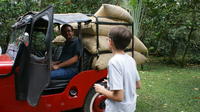 Coffee Plantation Visite compris Déjeuner à Chinauta
