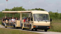 Shark Valley Everglades Guided Tram Tour