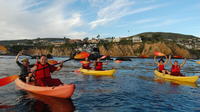 Laguna Beach Kayak Tour with Sea Lion Viewing