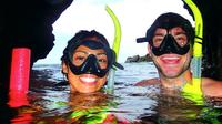 Shoreline Snorkel guidée Plage Snorkel Tour à Maui
