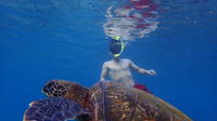 West Maui's Private Three Beach Snorkel Tour