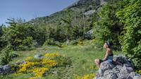 From Hillside to Coastline: 7-Day Montenegro Tour 