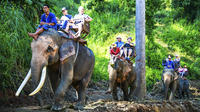 Full Day Elephant Ride and Rafting Adventure Combo from Chiang Mai