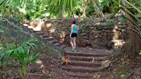 Ancient Oahu Circle Island Tour From Waikiki