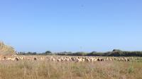 Bike Tour Environmental Park in Vilamoura