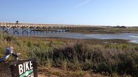 Bike Tour in Ria Formosa Natural Park