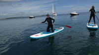 Helford River 2-hour Stand Up Paddle Boarding Tour in Falmouth