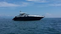 Private Cinque Terre and Portofino Luxury Yacht Tour