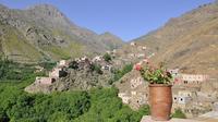 Private Day Trip to the High Atlas Mountains from Marrakech including Short Hike or Mule Ride