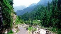 6-Night Private Himachal Pradesh Tour from New Delhi