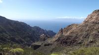 Private Tour of The Real Tenerife