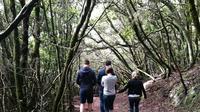 Wanderung im Anaga-Gebirge Wanderung im Anaga-Gebirge