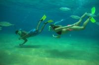 Beach Hopper Snorkeling Tour in Los Cabos 