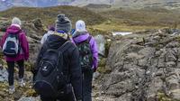 El Cajas Parc national Visite privée