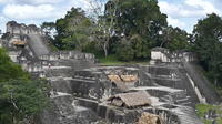 Full-Day Trip to Tikal