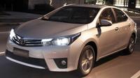 Arrivée Transfert privé: Salvador Aéroport à Praia do Forte