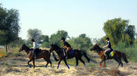 Desert Horse Riding