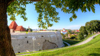 Visite privée: Vilnius Vues panoramiques Walking Tour