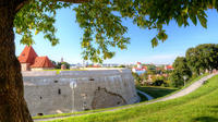 Private Tour: Vilnius Panoramic Views Walking Tour through the Republic of Uzupis