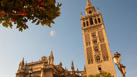 Sevilla en un día: tour privado