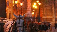 Horse and Buggy Ride in Seville 