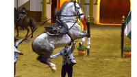 The Dancing Andalusian Horse Show