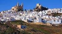 White Villages: Guided Day Trip from Seville