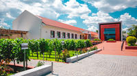 Full-Day Shabo Wine Culture Center Private Tour with Tasting in Odessa