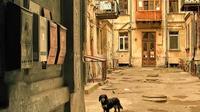 Private Guided Tour of Odessa Courtyards