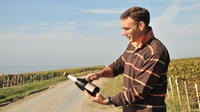 4 heures en petit groupe Région Champagne Visite guidée du vignoble d'Epernay avec dégustation de vin et de pique-nique