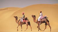 3-Day Private Tour of Jaisalmer including Desert Camp Experience