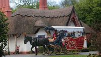 Private Killarney Christmas Horse Drawn Sleigh Ride image 1 Private Killarney Christmas Horse Drawn Sleigh Ride image 1
