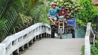 2-Day Small Group Tour to Ho Chi Minh and Mekong Delta from Ho Chi Minh City