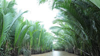 Private Tour: Rural Mekong Delta from Ho Chi Minh City 