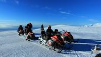 Southern Iceland and Snowmobile Tour from Reykjavik