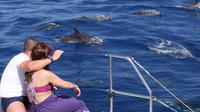 Amazing Land and Sea Pack Jeep Adventure and Dolphins Watching