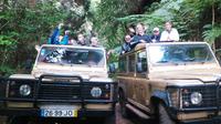 Traditions de Madère et Nature Jeep Tour