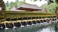 Private Ubud Tour: Batubulan Village, Tirta Empul Temple, Monkey Forest with Lunch