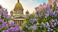 3 Hour Saint-Petersburg Walking Tour with English Speaking Guide