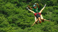 Canopy River Zipline Tour and Mule Ride