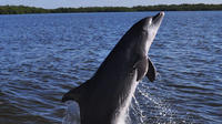 Dolphin and Wildlife Cruise in Fort Myers Beach