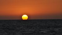 Fort Myers Sunset Cruise