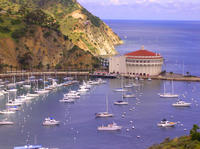 Catalina Island Day Excursion